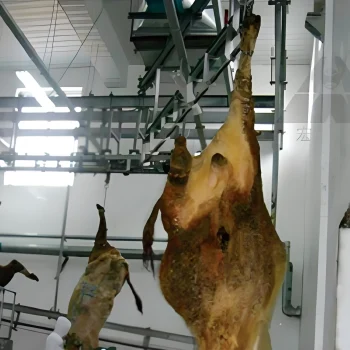 Cattle-bloodletting-overhead-conveyor-「-new」 Cattle-bloodletting-overhead-conveyor-「-new」