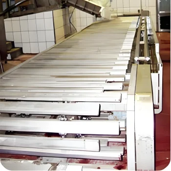 Horizontal-bloodletting-conveyor Horizontal-bloodletting-conveyor
