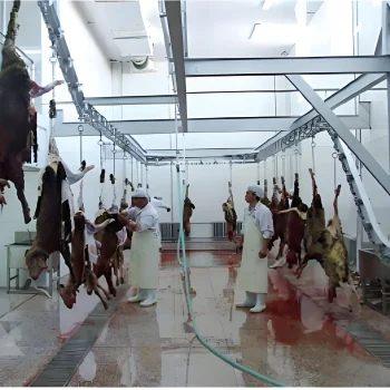 I-steel-rail-type-bloodletting-overhead-conveyor-traditional