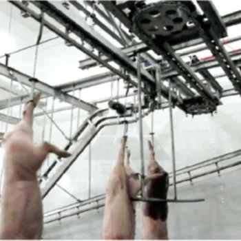 Pig-bloodletting-overhead-conveyor-「new」 Pig-bloodletting-overhead-conveyor-「new」