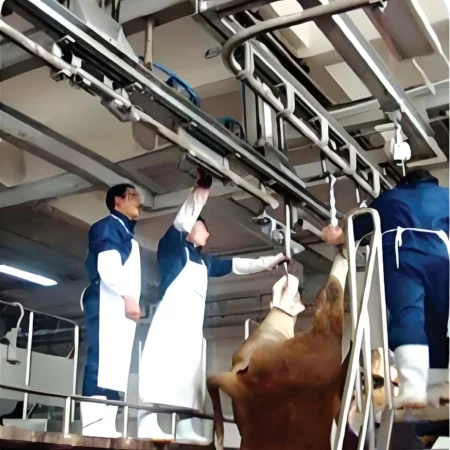 Pneumatic-hoisting-and-rail-changing-device-450x450